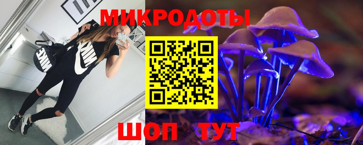 Галлюциногенные грибы Psilocybine cubensis Электросталь